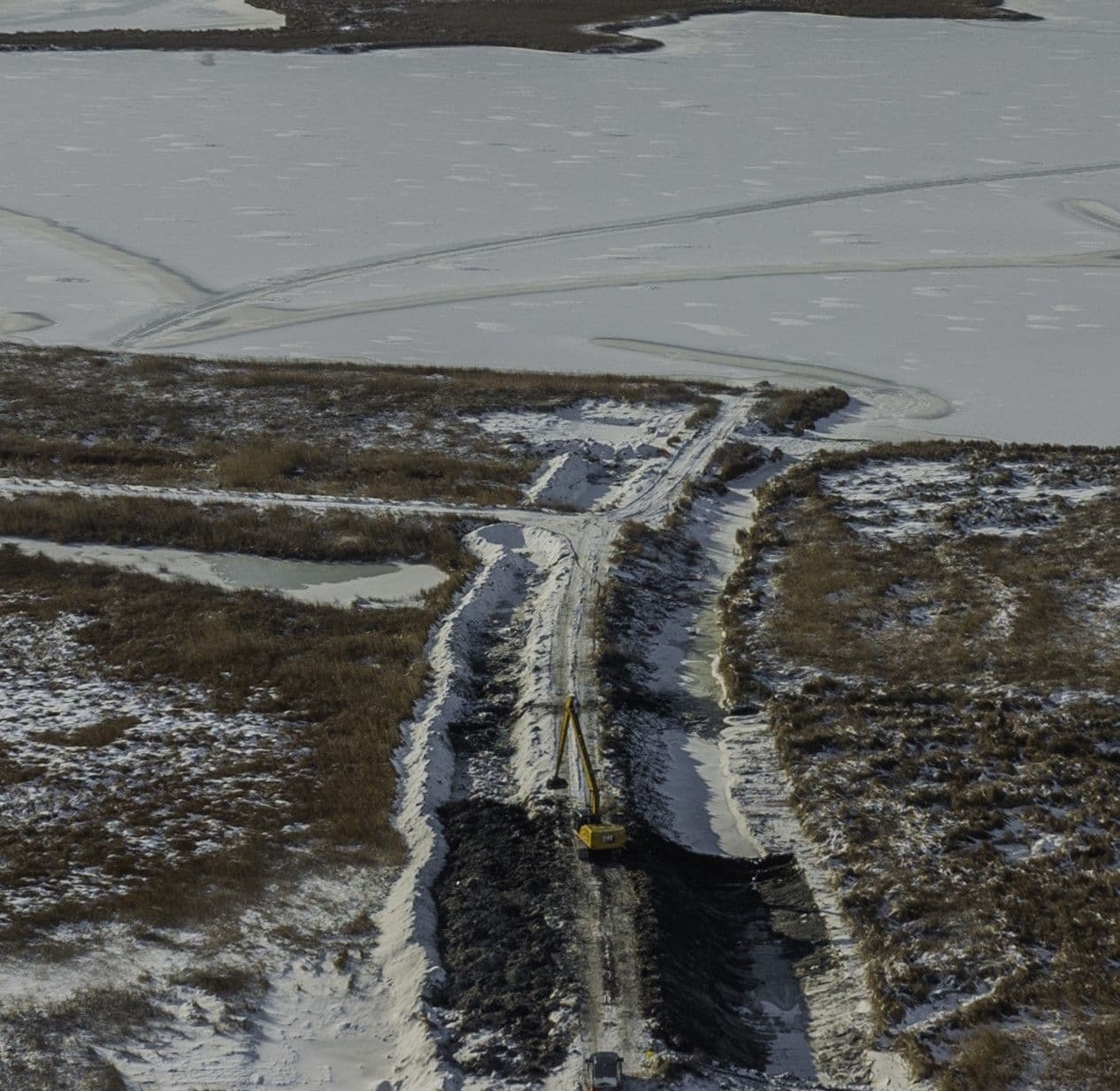 Restoring Wetlands, Protecting Ecosystems