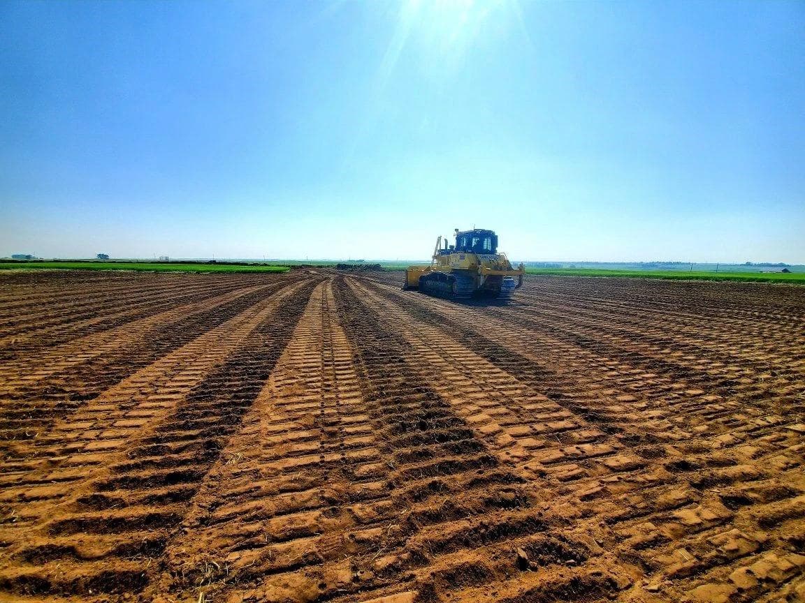 Purpose Beyond the Project